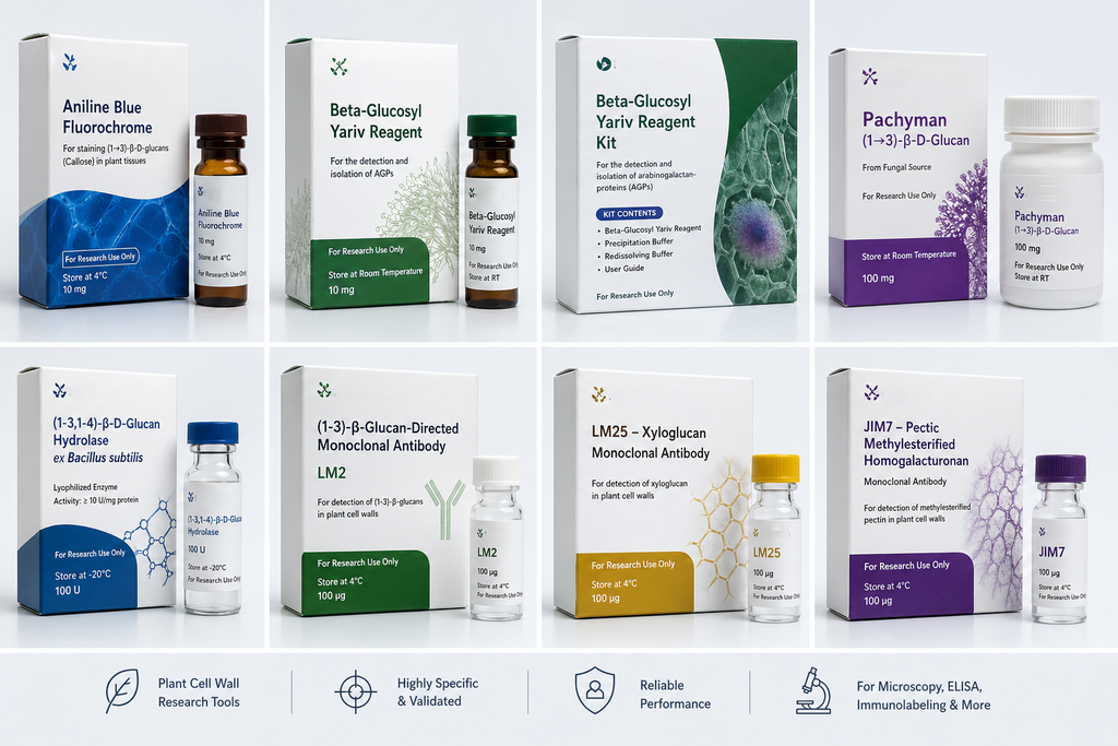 (1-3) -beta-glucan-directed monoclonal antibody